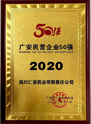 2020.11 广安市民营企业50强