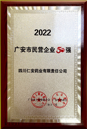 2022.11 广安市民营企业50强