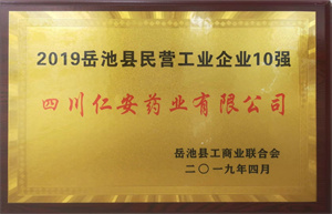 2019.04 岳池县民营工业企业10强